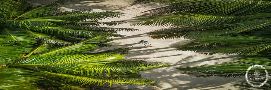 adam-juman-NxeQUw-mdwk-unsplash