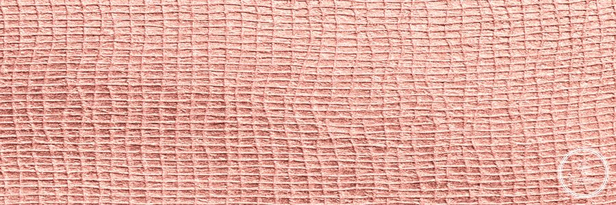 curated-lifestyle-QyQC0oh8WBY-unsplash