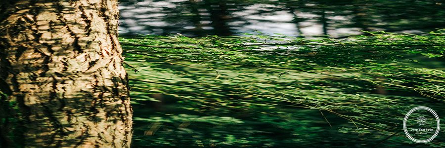 dong-xu-NyyTFaGfsbM-unsplash