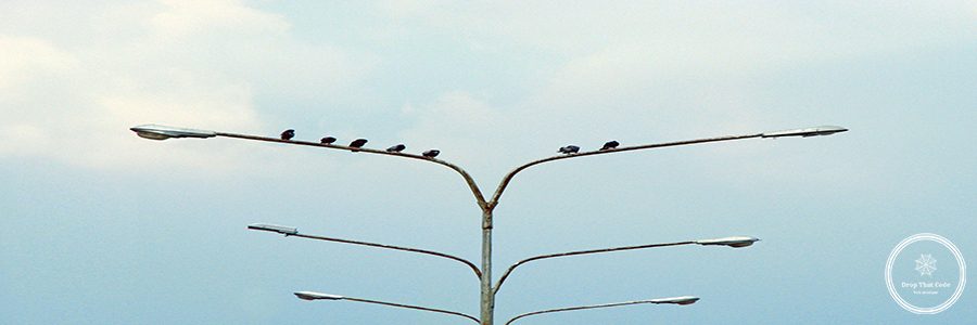 eduardo-sanchez-WXJTpCC_KpA-unsplash