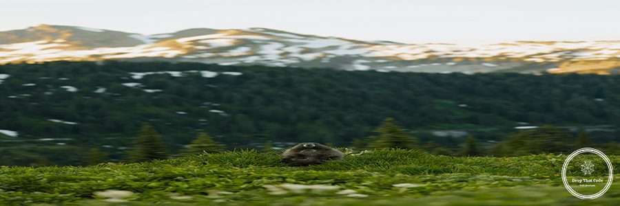 emma-swoboda-D24ZU-JA79s-unsplash