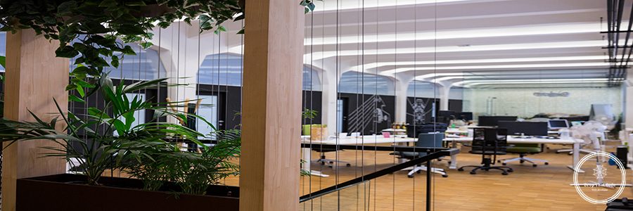 View of empty office with pot plant