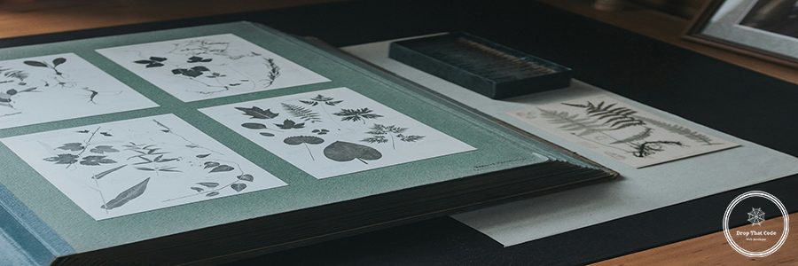 eugenia-ai-HzwEA04Dj-A-unsplash