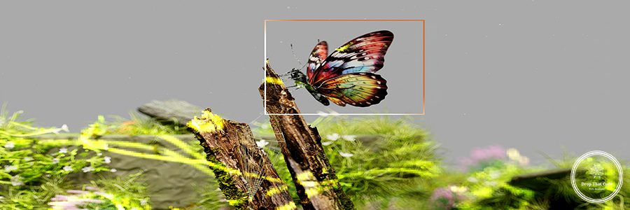 google-deepmind-41hiLUJoDKQ-unsplash