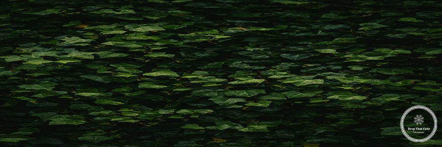 hans-JZ2WugpZlnk-unsplash