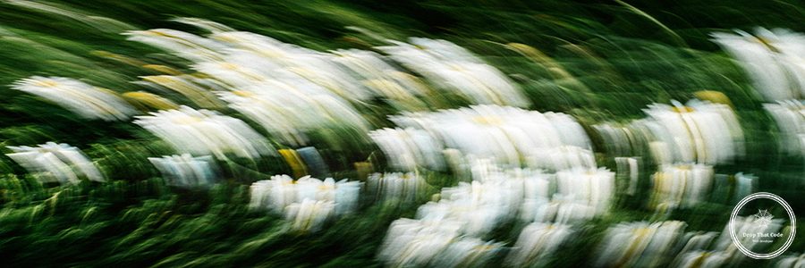 klara-kulikova-nKN1-45kUCo-unsplash