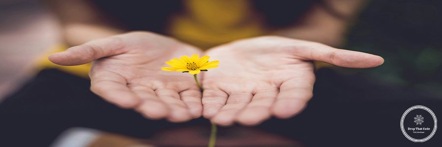 lina-trochez-ktPKyUs3Qjs-unsplash