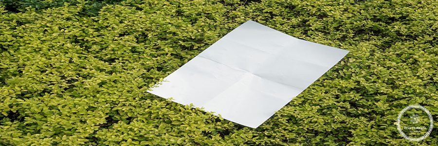 merci-mockup-YR39k00nJMc-unsplash