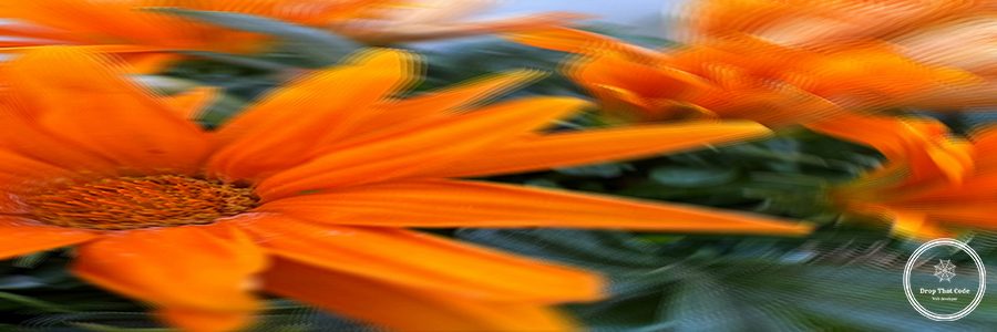 neelakshi-singh-TFnk1RCxCzA-unsplash
