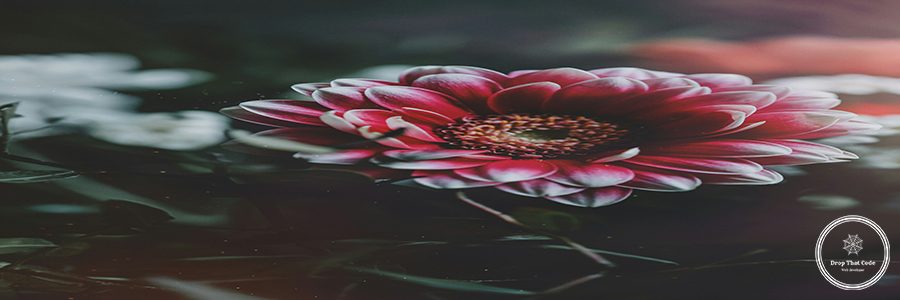 nic-berlin-xVCQ3xuJn8Y-unsplash