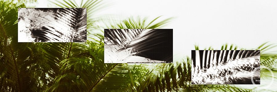 oscar-ramirez-PLU7yAW9p_A-unsplash