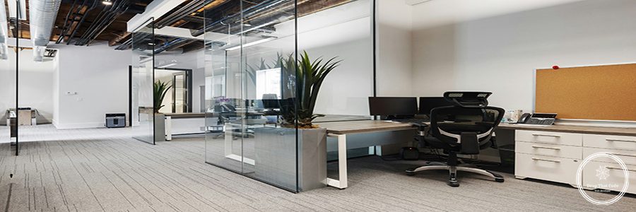 Website Development Toronto