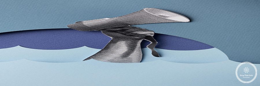 revolution-still-life-design