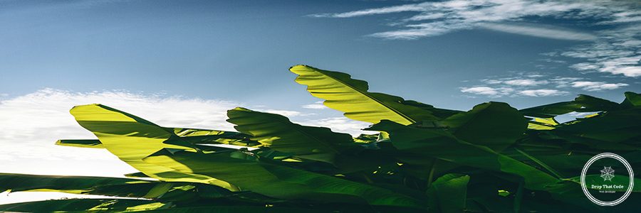 sindy-sussengut-S2RXtg6YGt0-unsplash