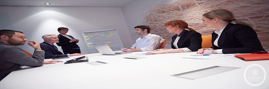 business people group with young adults and senior on meeting at modern bright office interior.