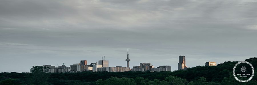 ecommerce website design toronto
