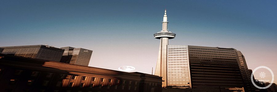 website development companies toronto