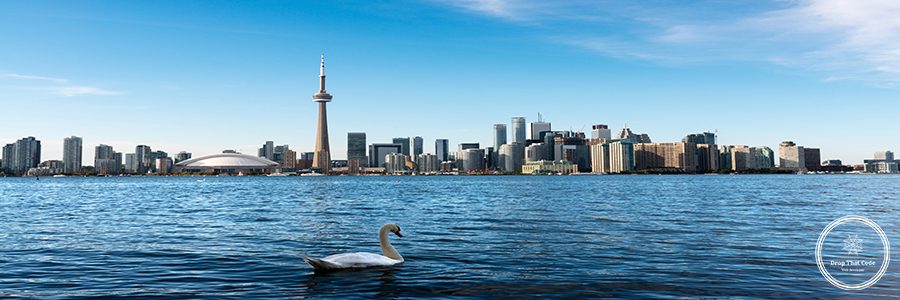 Toronto Website Design Service