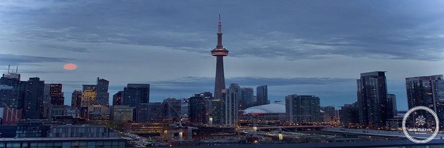 website design in toronto