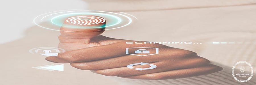 Website Design for Small Business